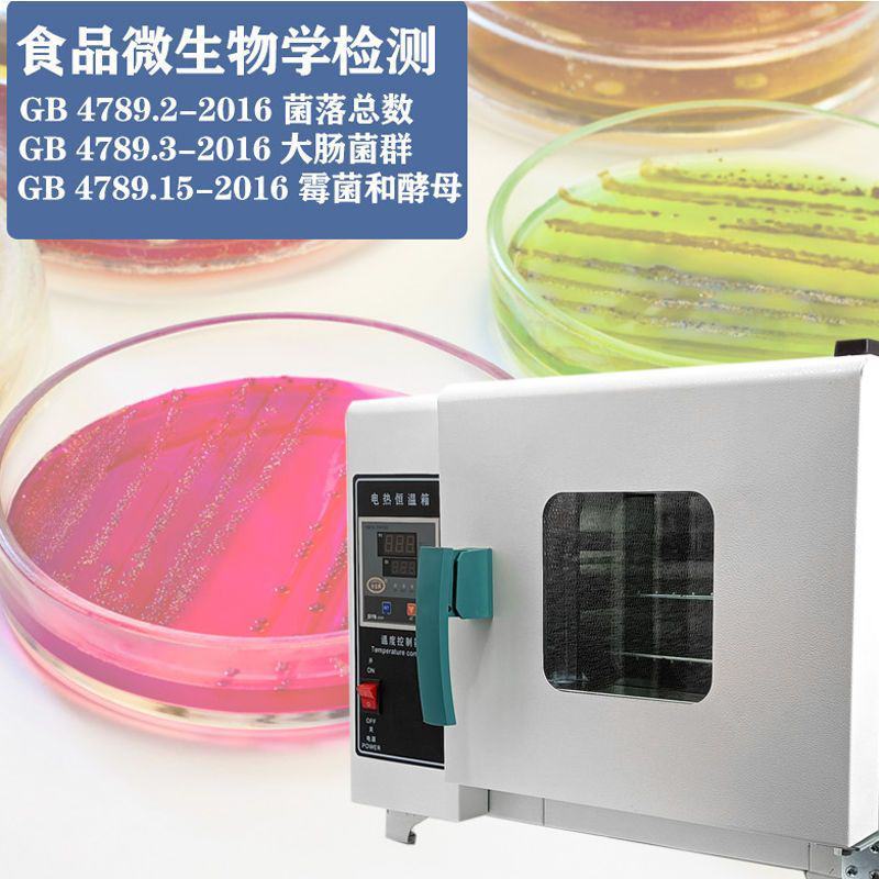 电热恒温培养箱实验室微生物细菌种子发芽生化霉菌恒温恒湿培