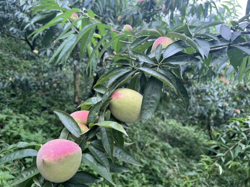 需要的老板可以来电联系