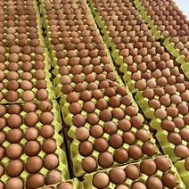 鸡蛋红壳鸡蛋粉壳鸡蛋土鸡蛋全国发货保证新鲜
