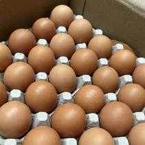 新鲜鸡蛋批发红壳蛋土鸡蛋粉壳蛋全国发货一手货源