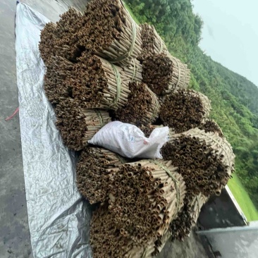 桂皮大量现货