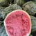 山东平度市，头茬山地京欣西瓜口感好甜度高欢迎来电