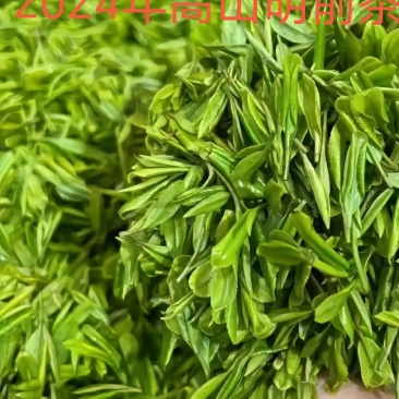 高山绿茶