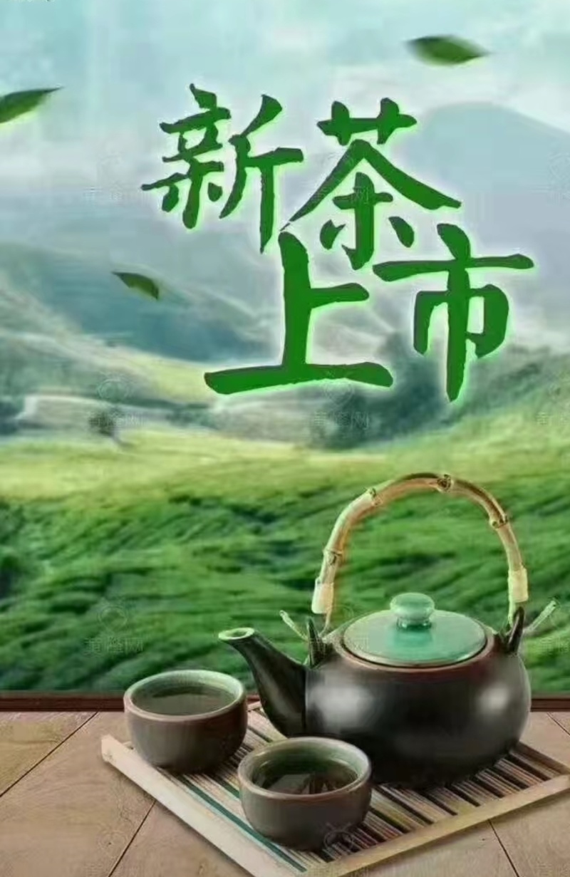 高山绿茶