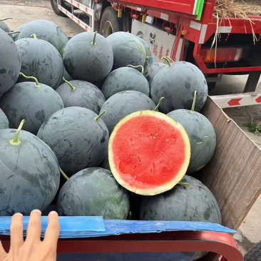 黑无籽西瓜🍉口感甜、皮毛好、代发全国各地