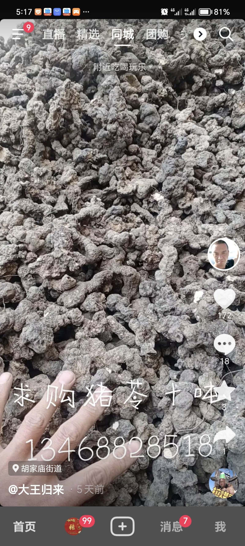 陇南文县大红袍花椒