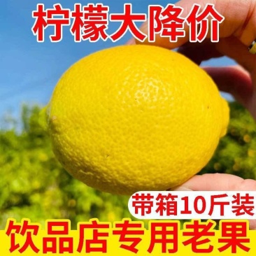 柠檬鲜果正宗安岳黄柠檬奶茶店批发专用皮薄多汁原生态精特级