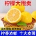 柠檬鲜果正宗安岳黄柠檬奶茶店批发专用皮薄多汁原生态精特级