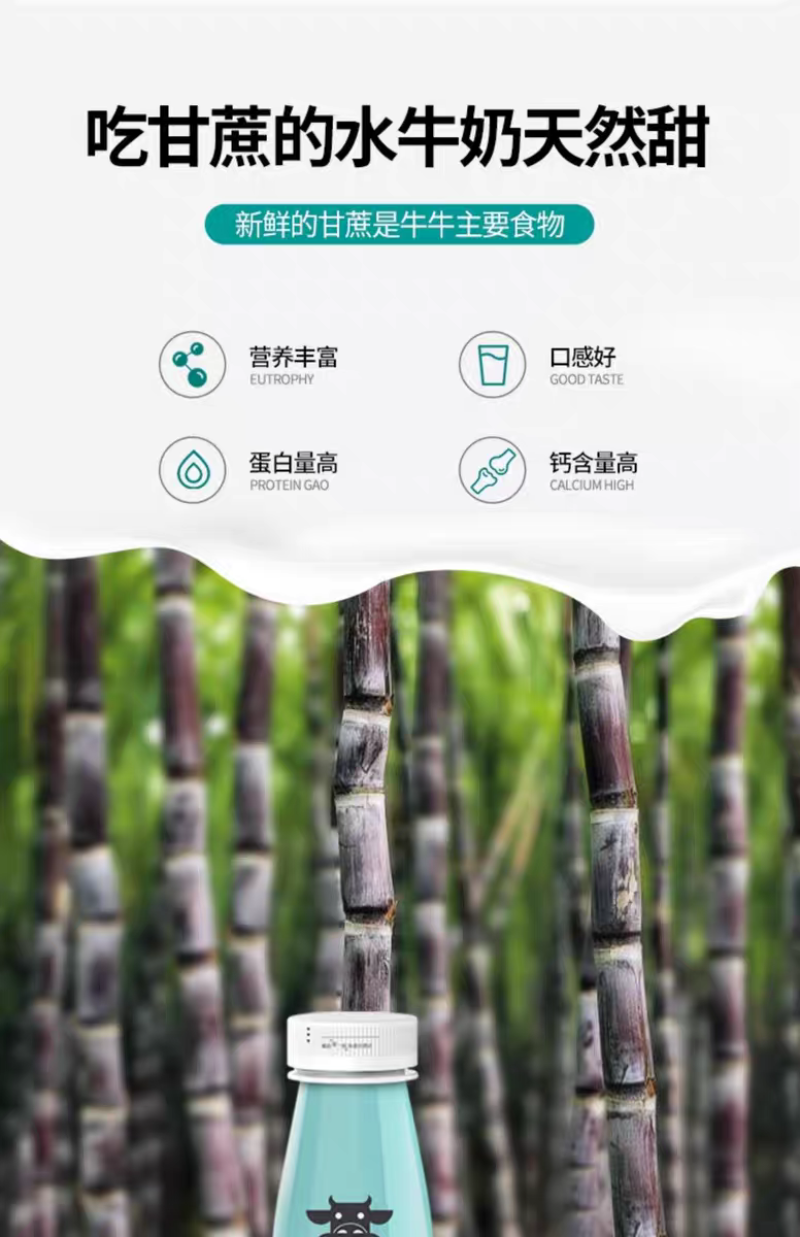 可代发，蛋白达到3.83的水牛奶，口感非常好，低脂高钙高