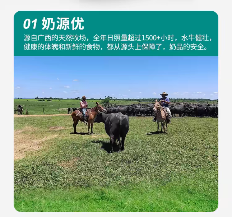 可代发，蛋白达到3.83的水牛奶，口感非常好，低脂高钙高
