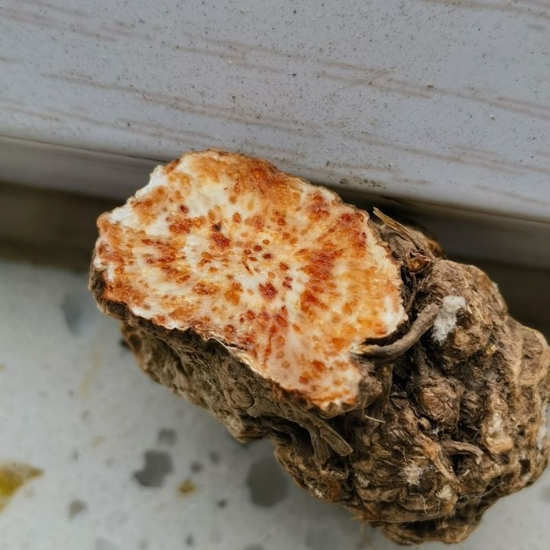 中药材苍术苍术干货苍术特级新鲜干货