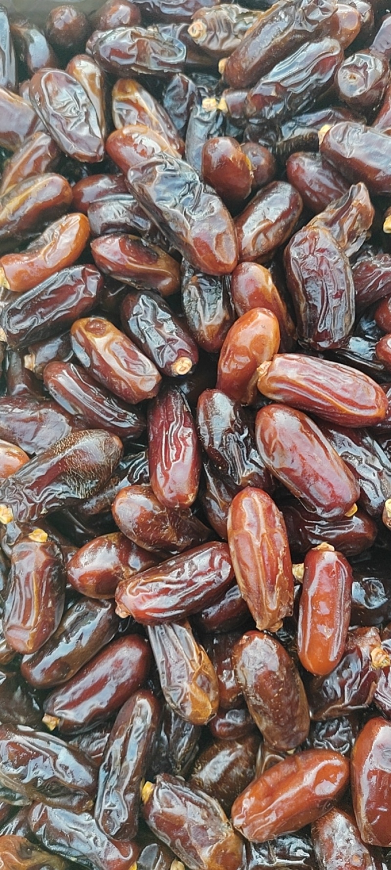 （优选）伊朗黑椰枣，一手货源电商专用整车批发支持一件代发