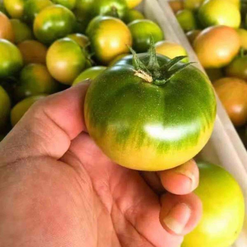 草莓柿子