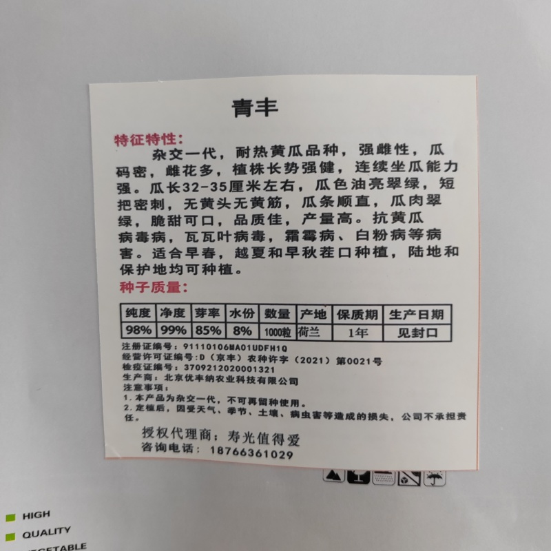 黄瓜种子青丰强磁油量密刺黄瓜种子黄瓜籽