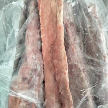 肥猪龙骨