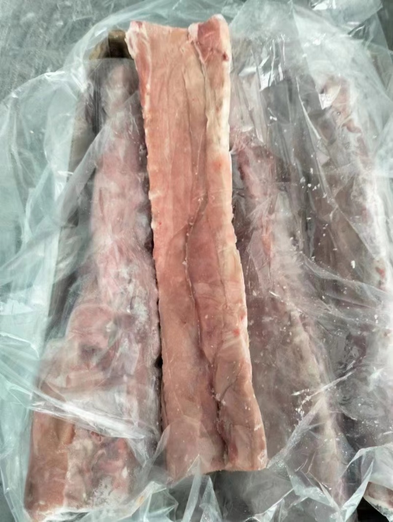 肥猪龙骨