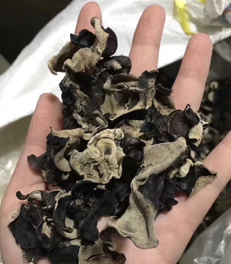 本人想自己买自己的货，欢迎新老板过来看货