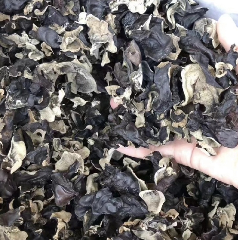 本人想自己买自己的货，欢迎新老板过来看货