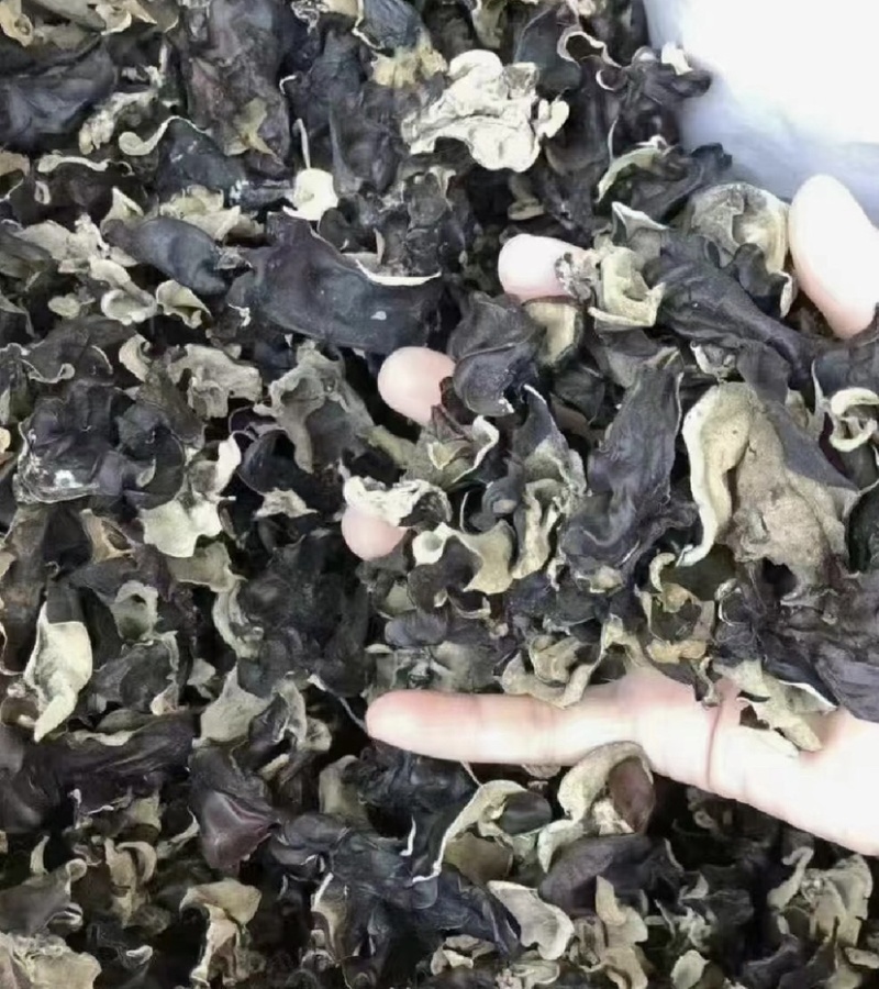 本人想自己买自己的货，欢迎新老板过来看货