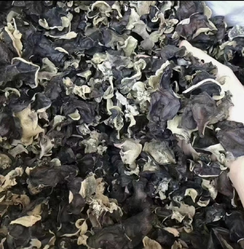 本人想自己买自己的货，欢迎新老板过来看货