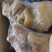 【熟食牛蹄】熟去骨牛蹄水煮质量保证