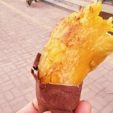 红瑶蜜薯