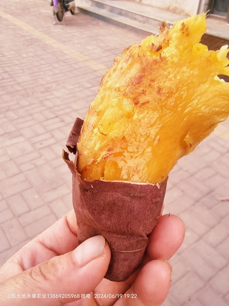 榴莲蜜薯
