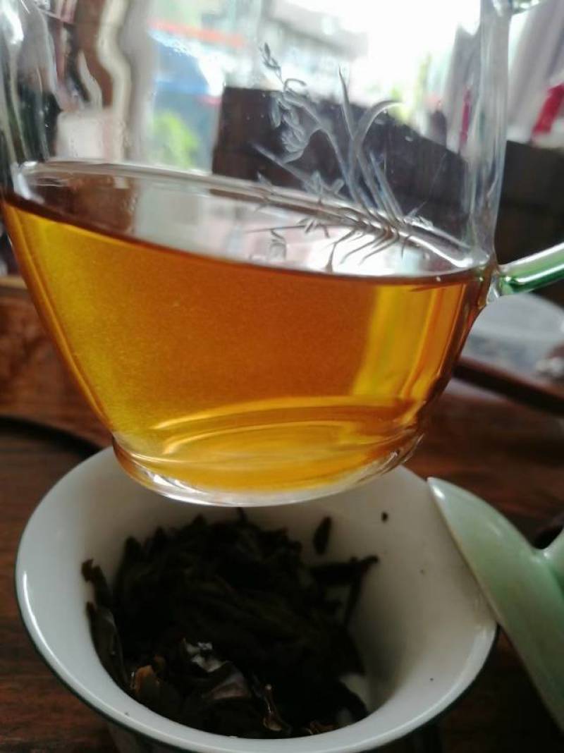 普洱茶2020年乔木茶