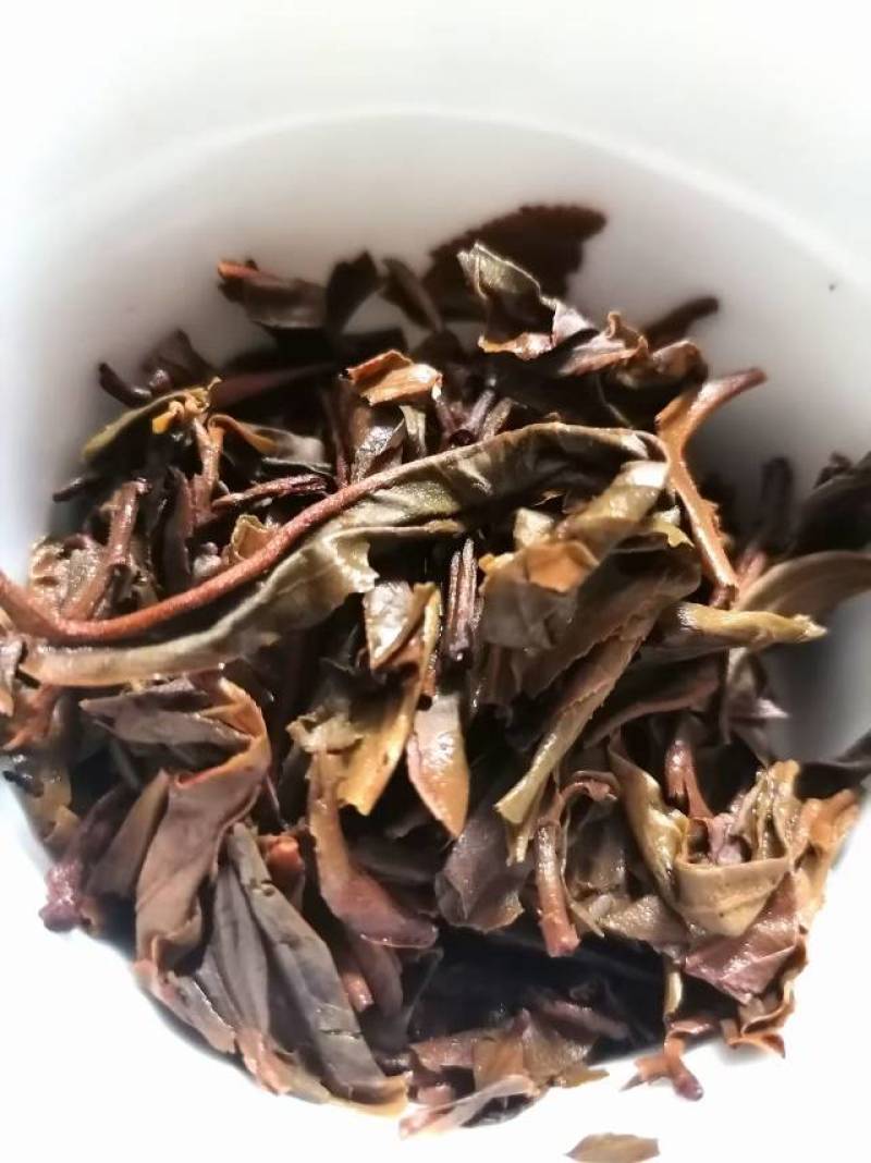 普洱茶2020年乔木茶