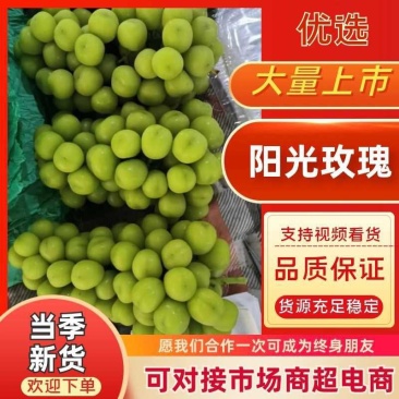 精品阳光玫瑰葡萄上市，阳光玫瑰葡萄**价格，晴王葡萄供应