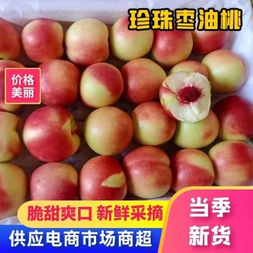 超甜枣油桃，珍珠枣油桃大量供应，枣油桃上市价格