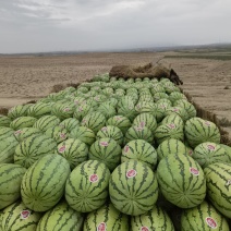 宁夏硒砂瓜产地直供价格美丽供应全国档口商超社团电商平台