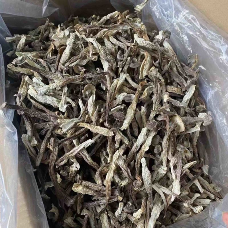 鹿茸菇精品鹿茸菇干货批发