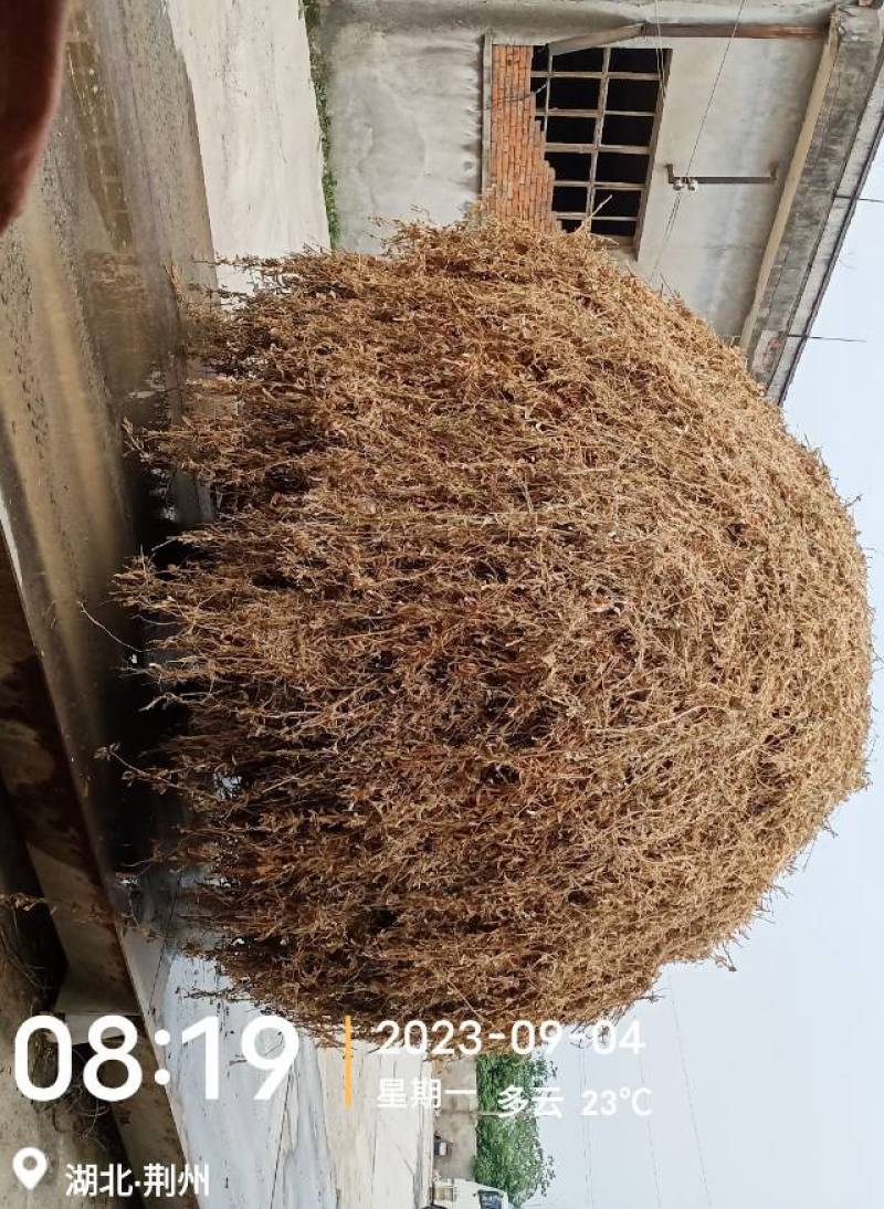黄豆秸杆