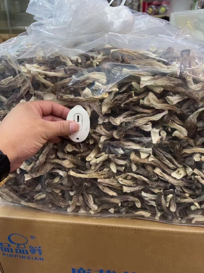 鹿茸菇精品鹿茸菇干货批发