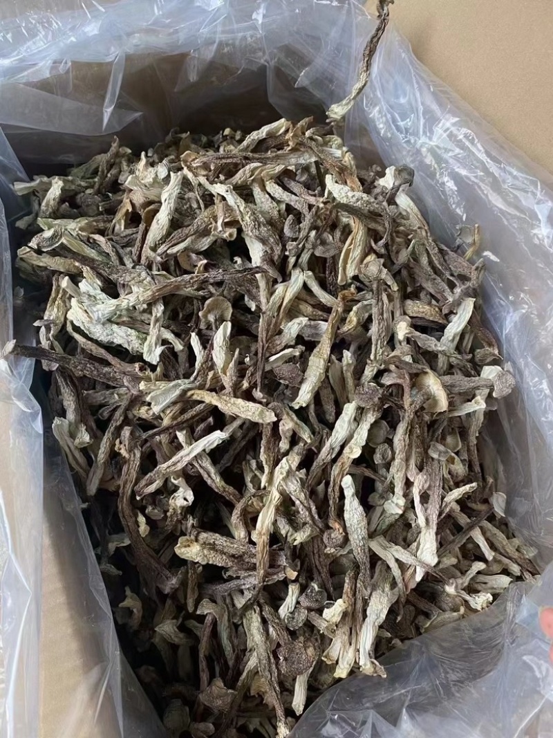 鹿茸菇精品鹿茸菇干货批发