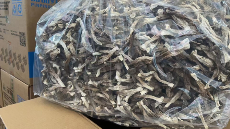 鹿茸菇精品鹿茸菇干货批发