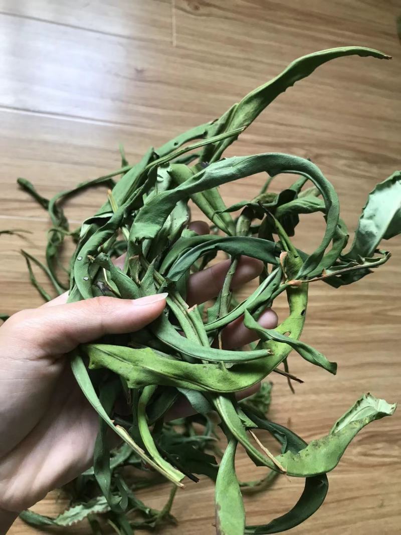 精品化石草，有小叶、细叶、中叶、大叶化石草