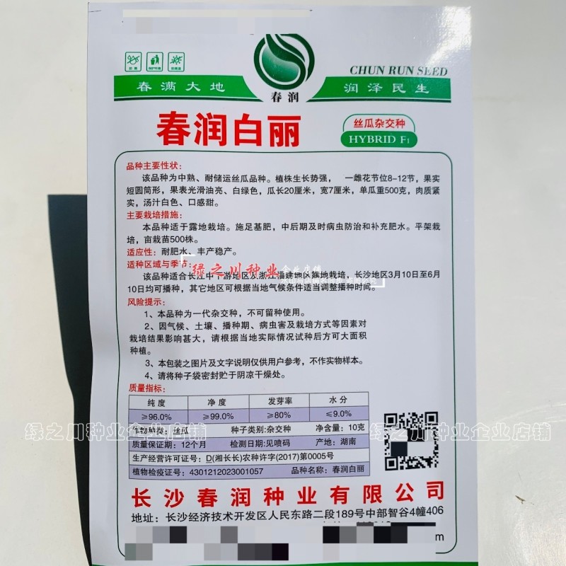 春润白丽丝瓜种子油亮白绿色白玉丝瓜种籽口感甜短胖水瓜种子