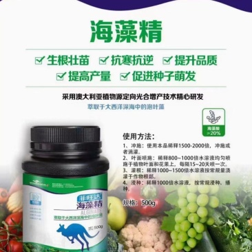海藻精，生根壮苗，促进种子萌发提高坐果促进果实膨大