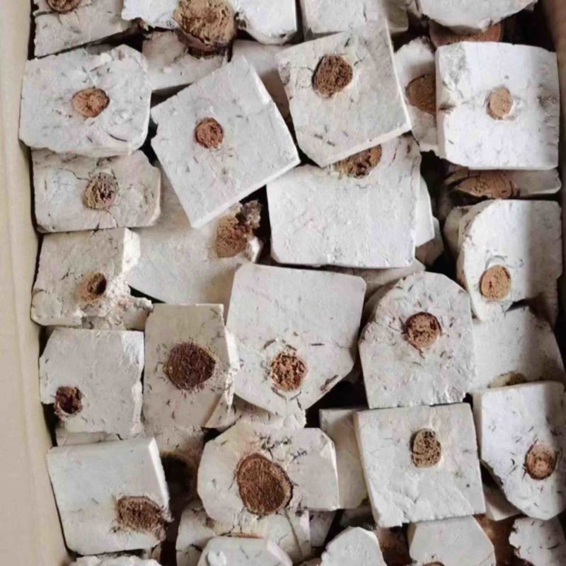 新鲜营养丰富茯苓长期供应不间断