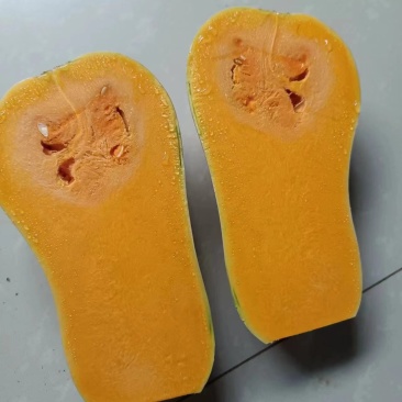 城固奶油南瓜大量供货中！质量好，价格低欢迎来约。