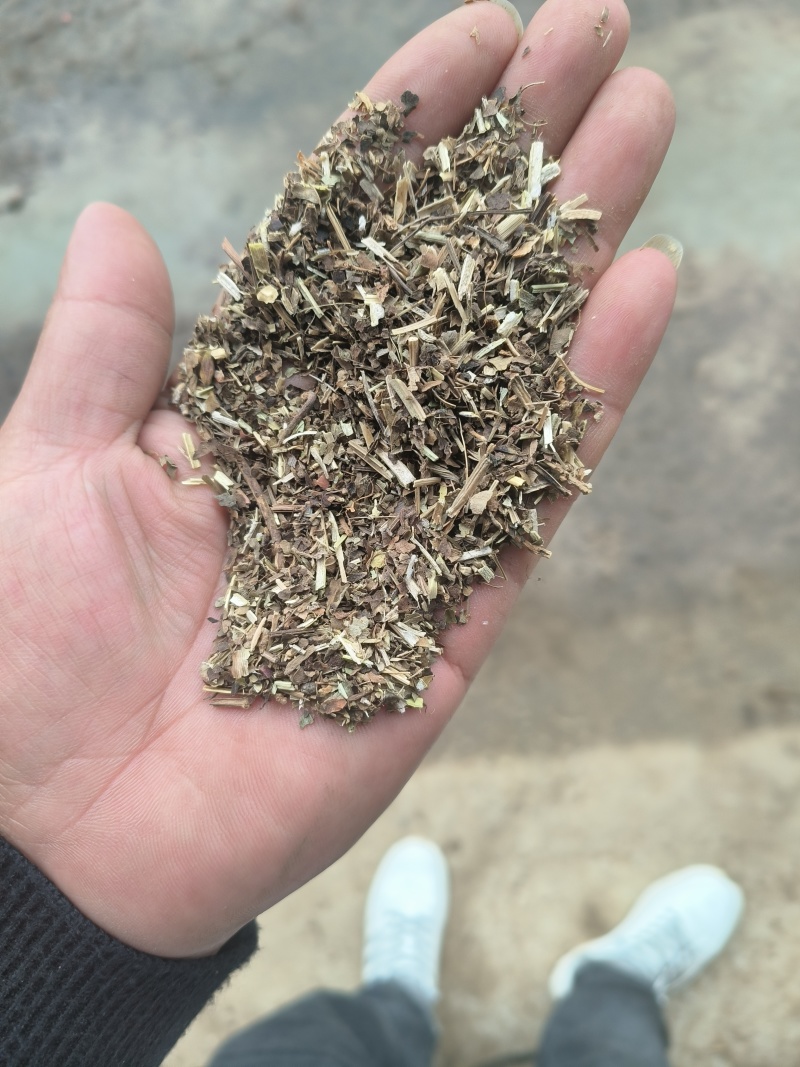 花生秧
