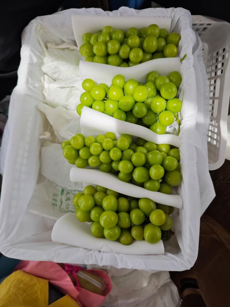 阳光玫瑰，香，脆，甜，相印葡萄，对接农户