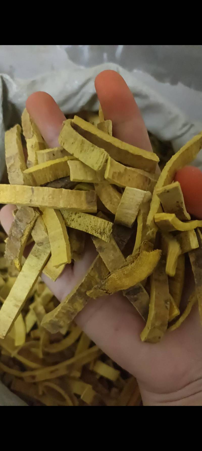 去皮川黄柏，黄柏丝，中药材黄柏，纯干无硫，颜色漂亮