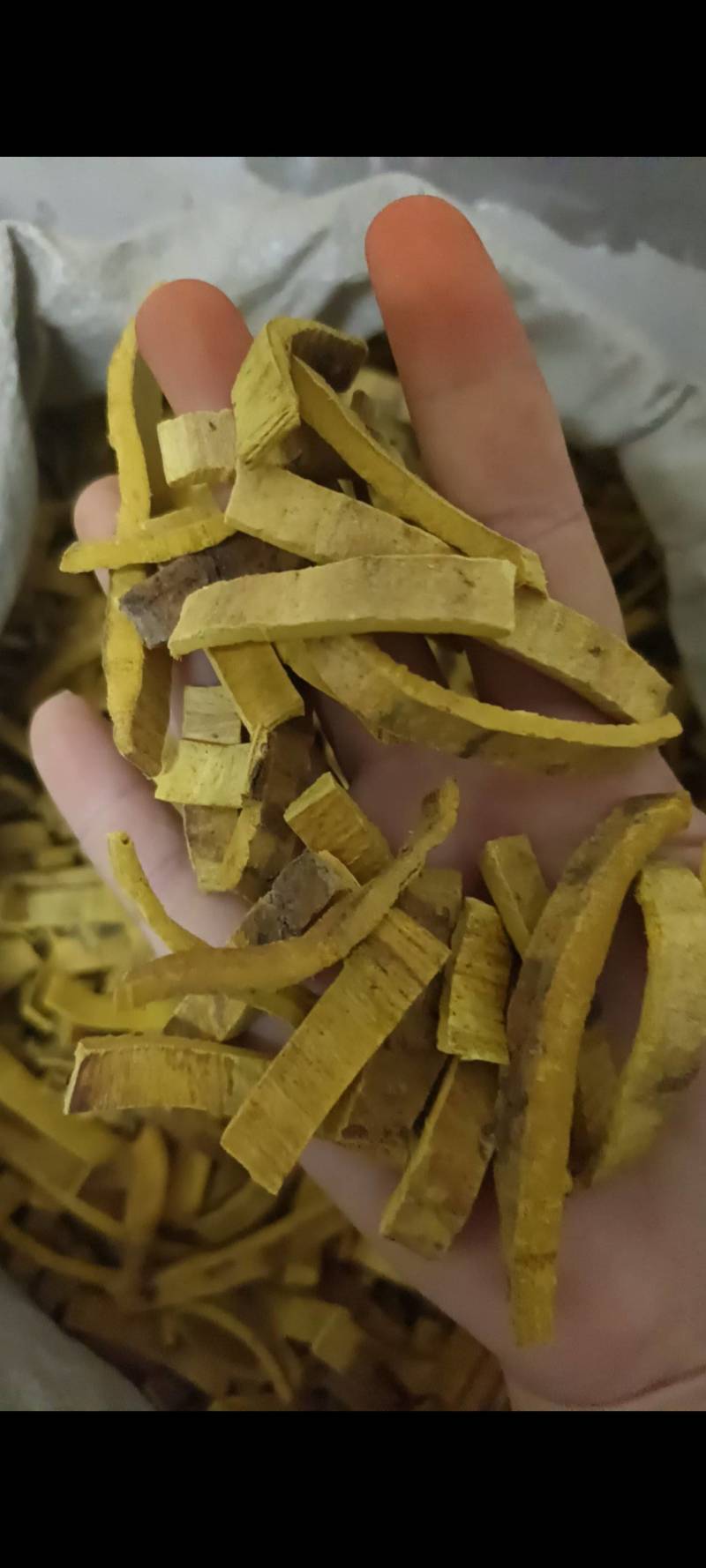 去皮川黄柏，黄柏丝，中药材黄柏，纯干无硫，颜色漂亮