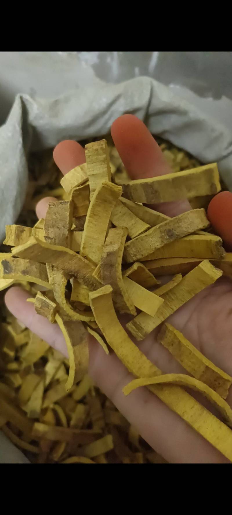 去皮川黄柏，黄柏丝，中药材黄柏，纯干无硫，颜色漂亮