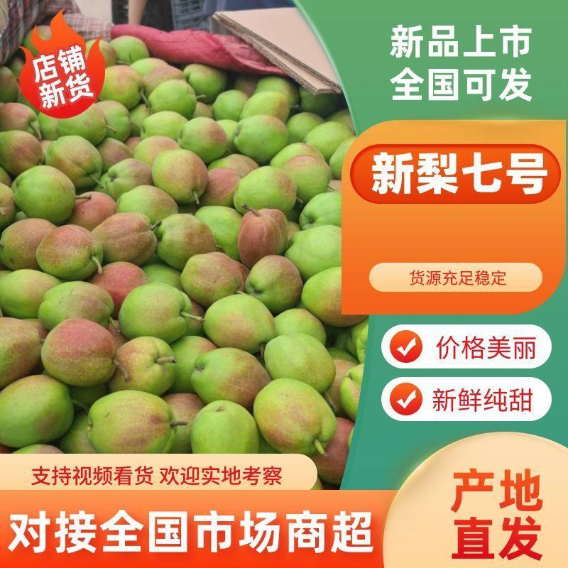 优质新梨新梨七号香梨大量上市对接全国市场量大从优
