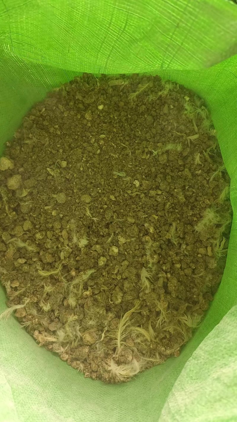 风干鸡粪