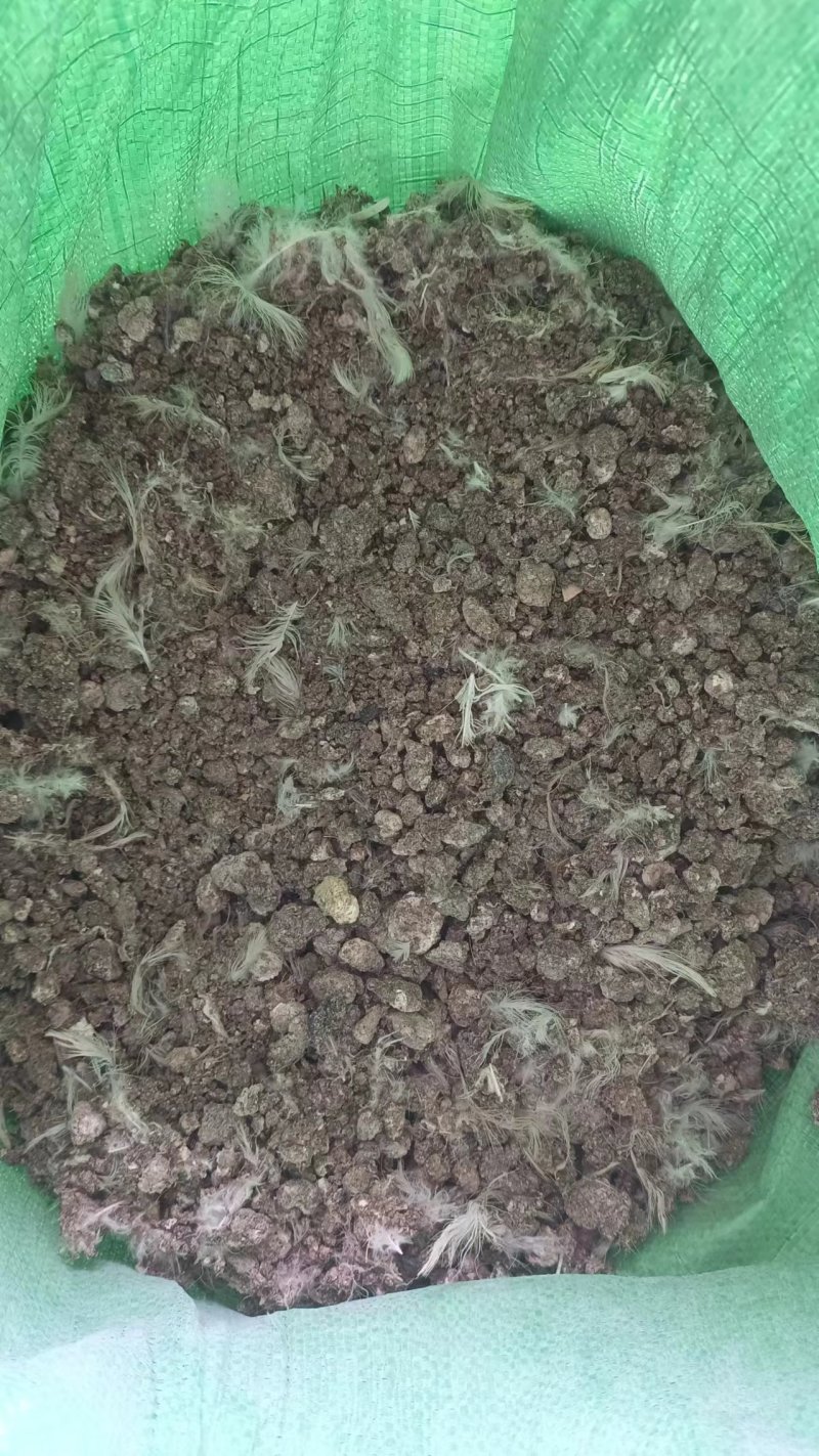 风干鸡粪